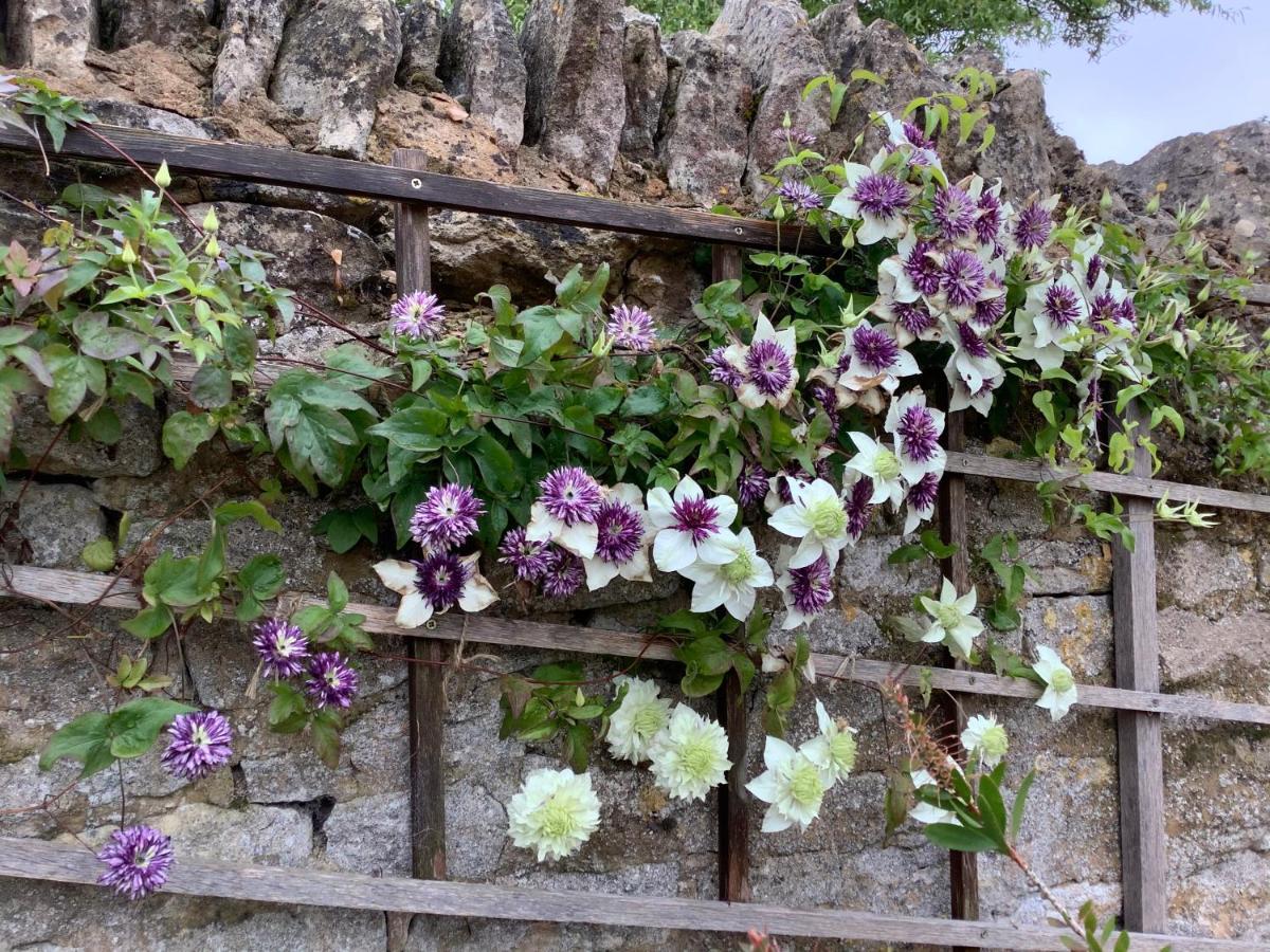 Hollyhock Cottage, Clematis Cottages, Stamford Exterior photo